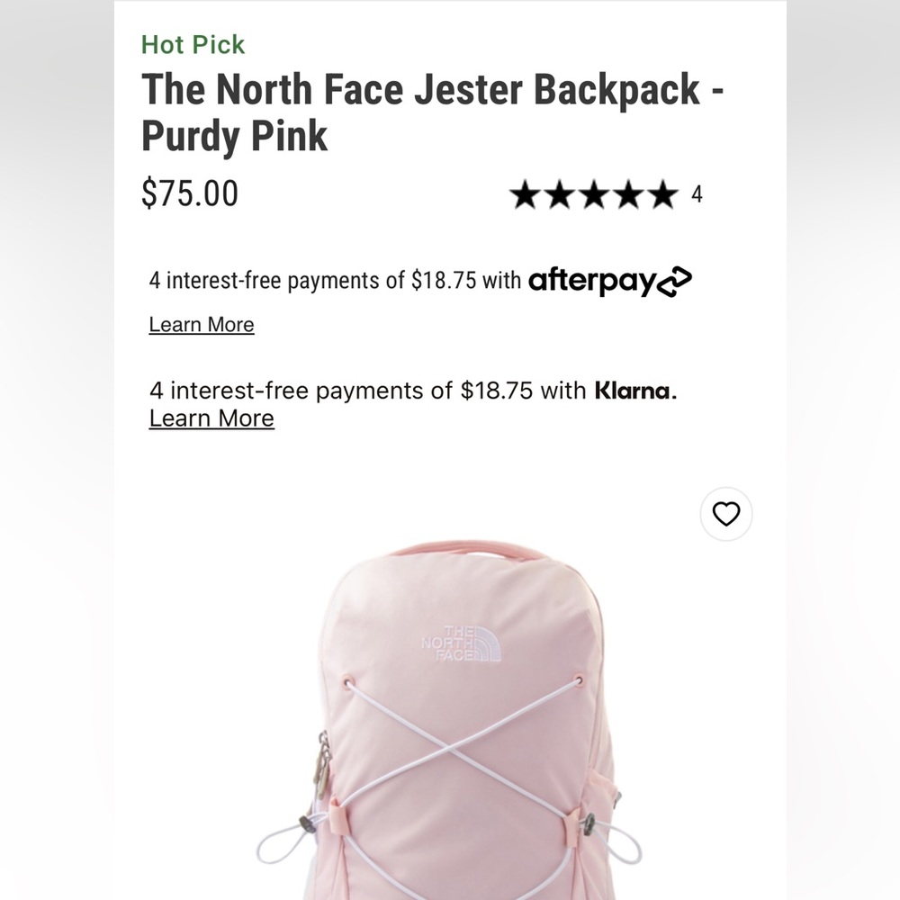 The north face jester backpack purdy pink